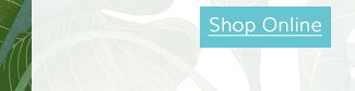 Shop Online