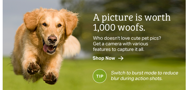 Shop Cameras Now