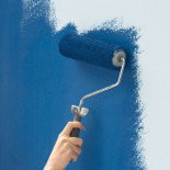 Brushes, rollers & trays > Brushes, rollers & trays >