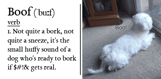 boof