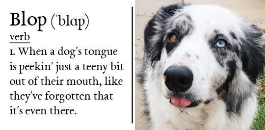 blop