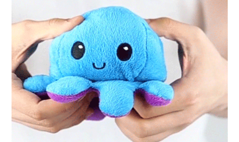 octopus teeturtle