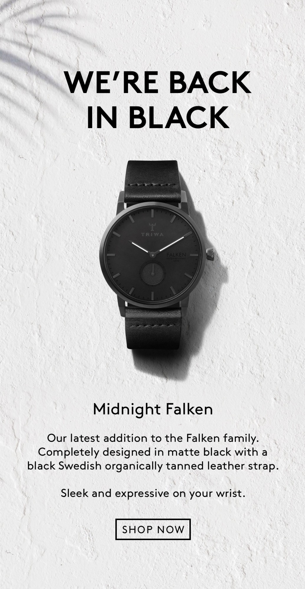 midnight falken