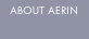 About Aerin