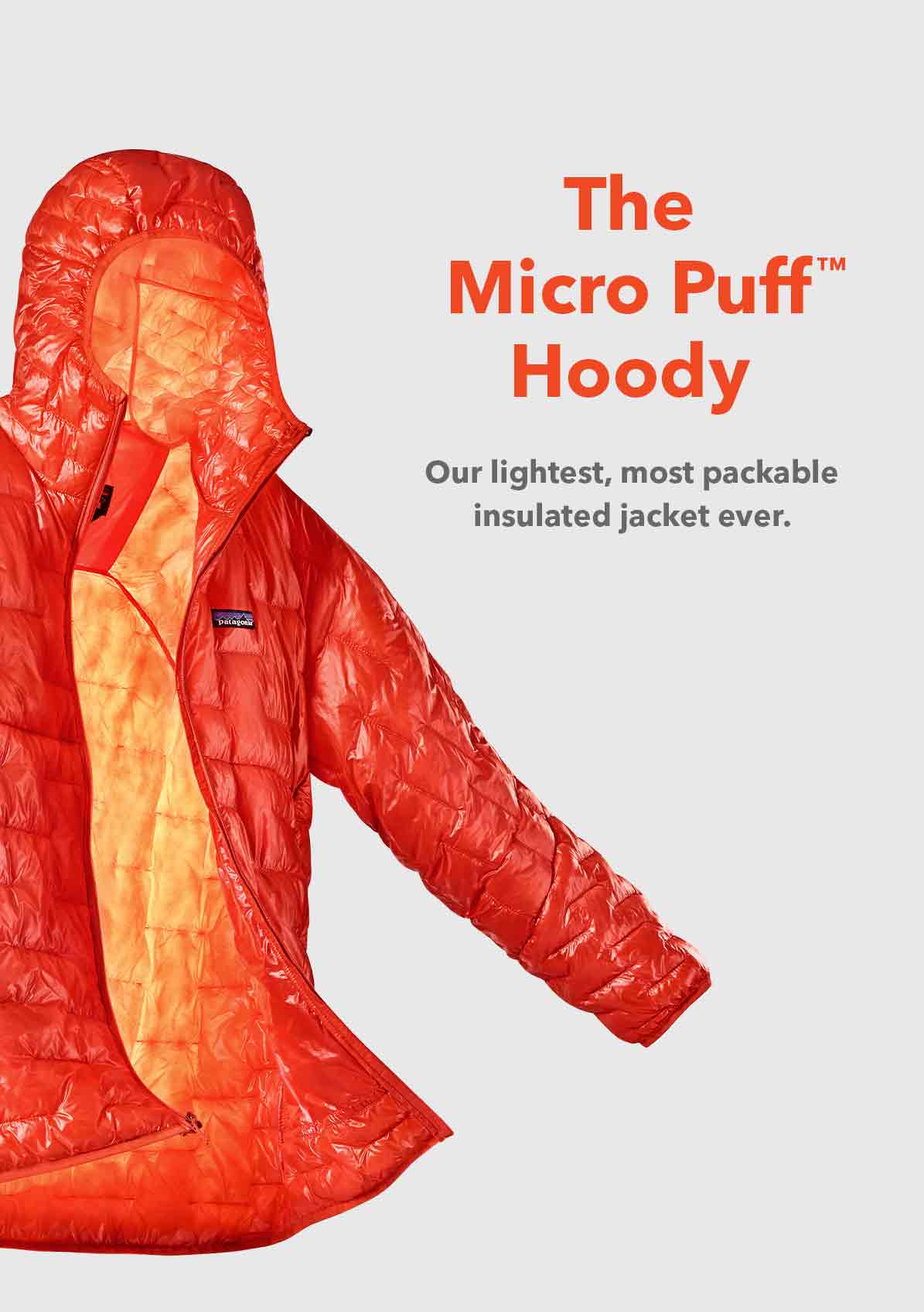 patagonia micro puff hoody mango