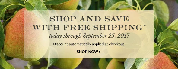 Shop and Save with Free Shipping