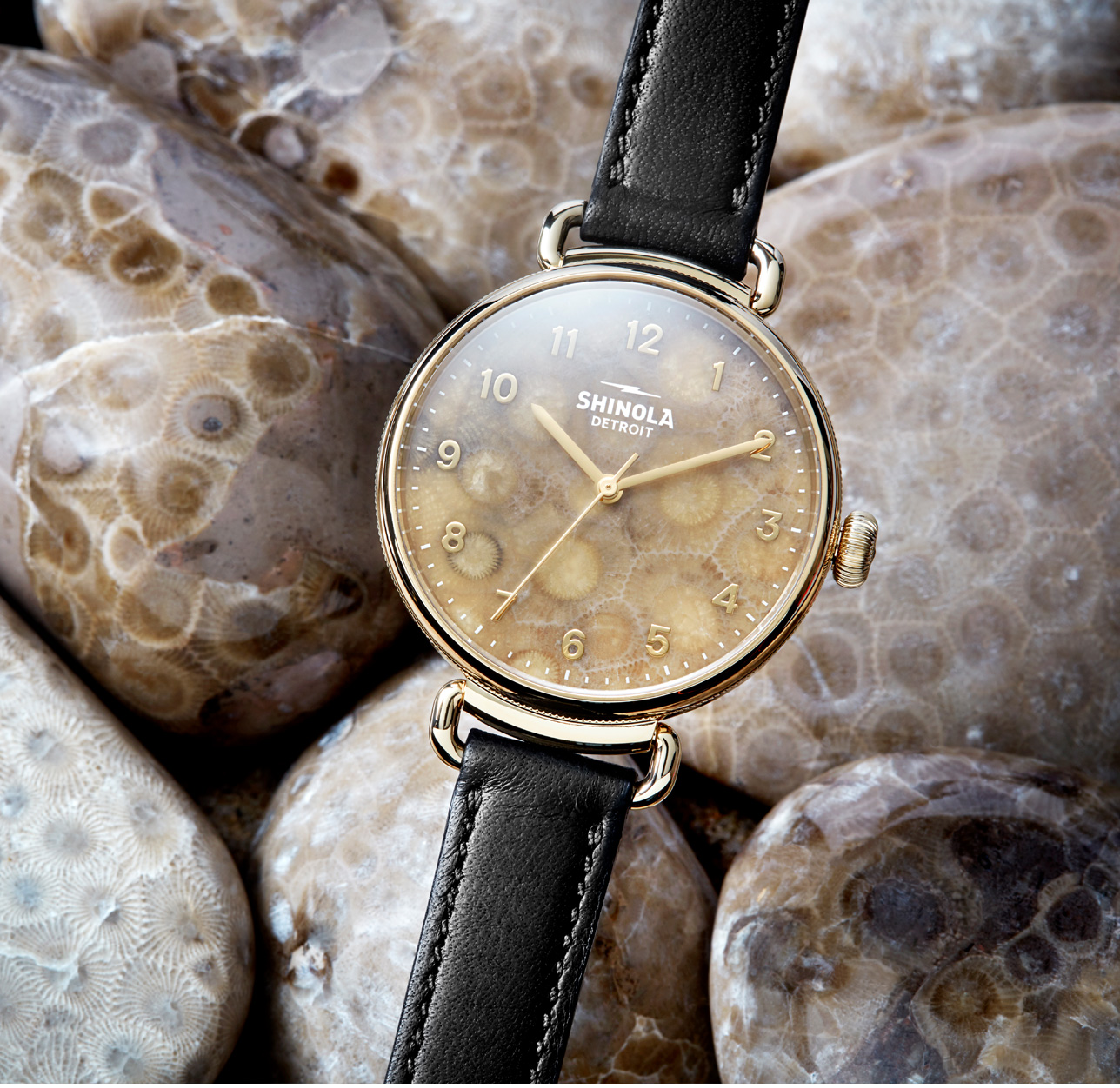 Petoskey stone outlet shinola