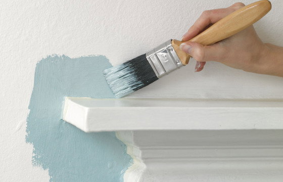 Paint Advice