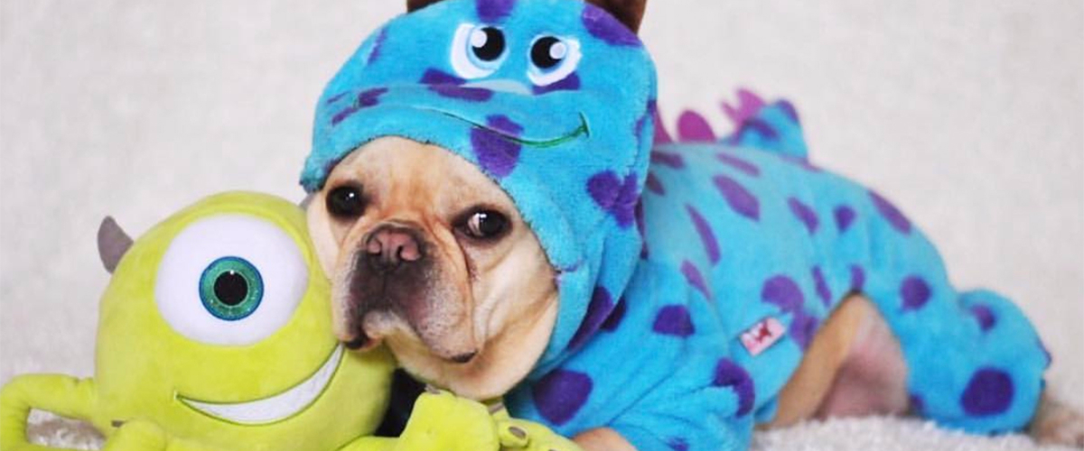 Disney Cruise Line You Deserve These Photos of Dogs Dressed as Disney