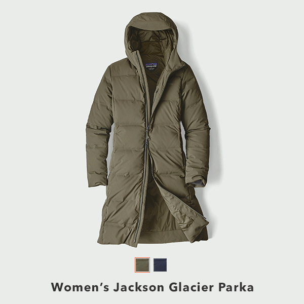 patagonia women's jackson glacier parka