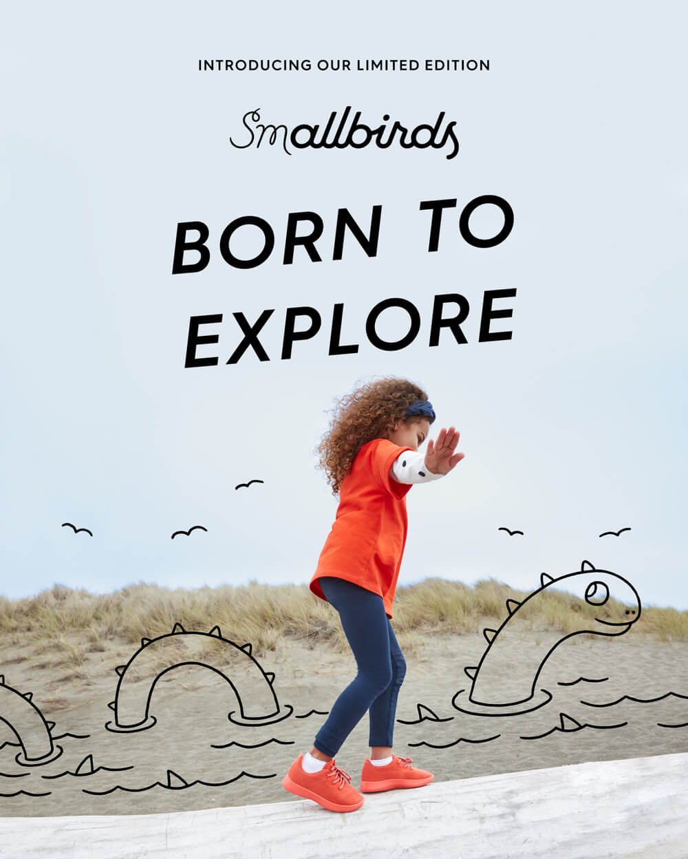 allbirds smallbirds