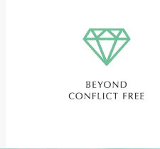 Beyond Conflict
Free™