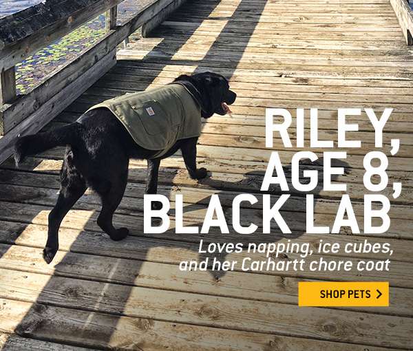 black carhartt dog jacket