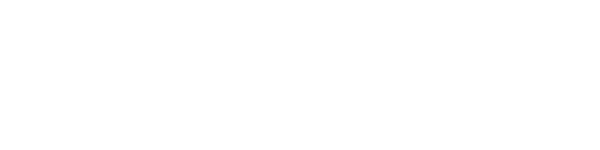 Follow Festive Lights on Social Media