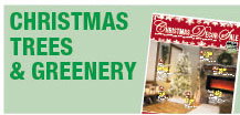 Christmas Trees & Greenery