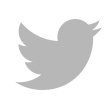Tee Turtle Twitter