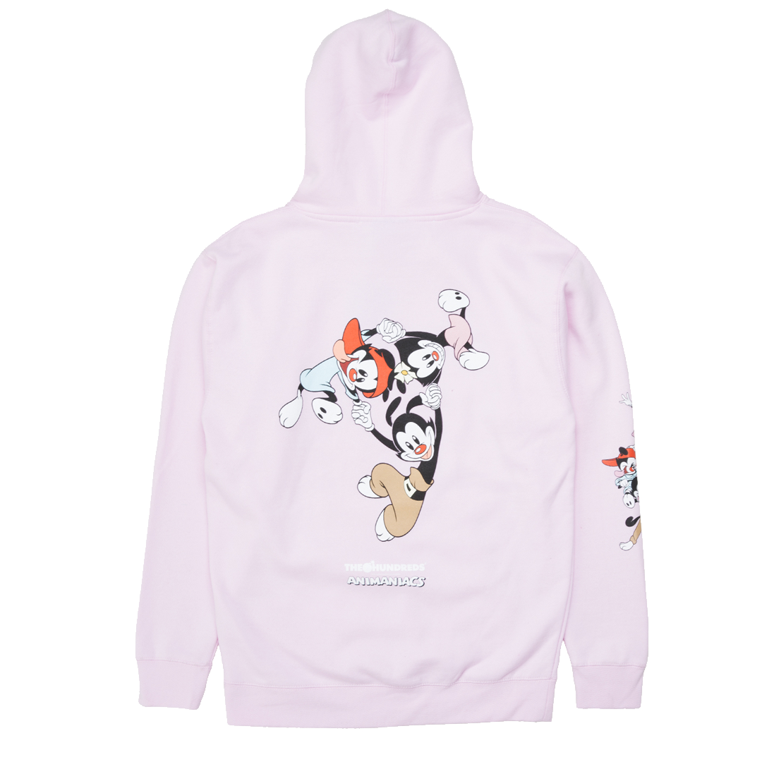 The hundreds animaniacs discount hoodie