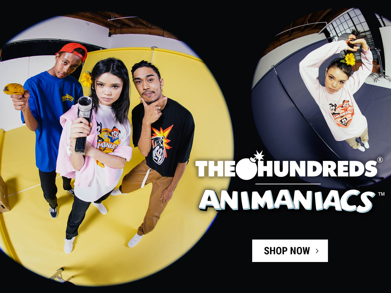 The hundreds animaniacs outlet hoodie