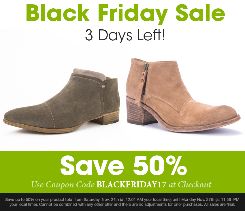 alberto fermani 2017