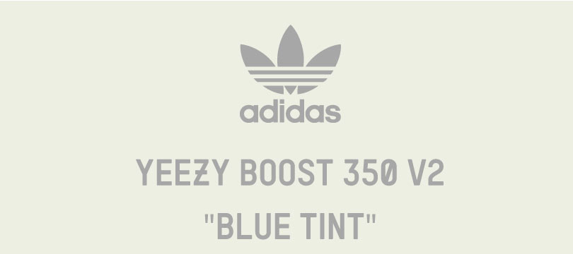 DTLR (Down Town Locker Room): adidas Yeezy Boost 350 V2 'Blue Tint' | Milled