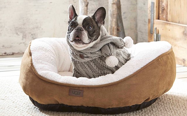ugg bed for dogs