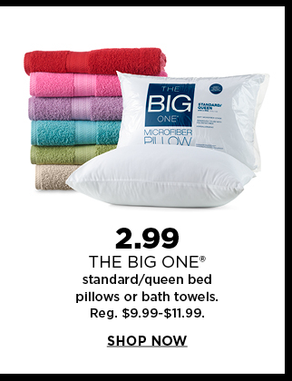 kohl's 2.99 pillows