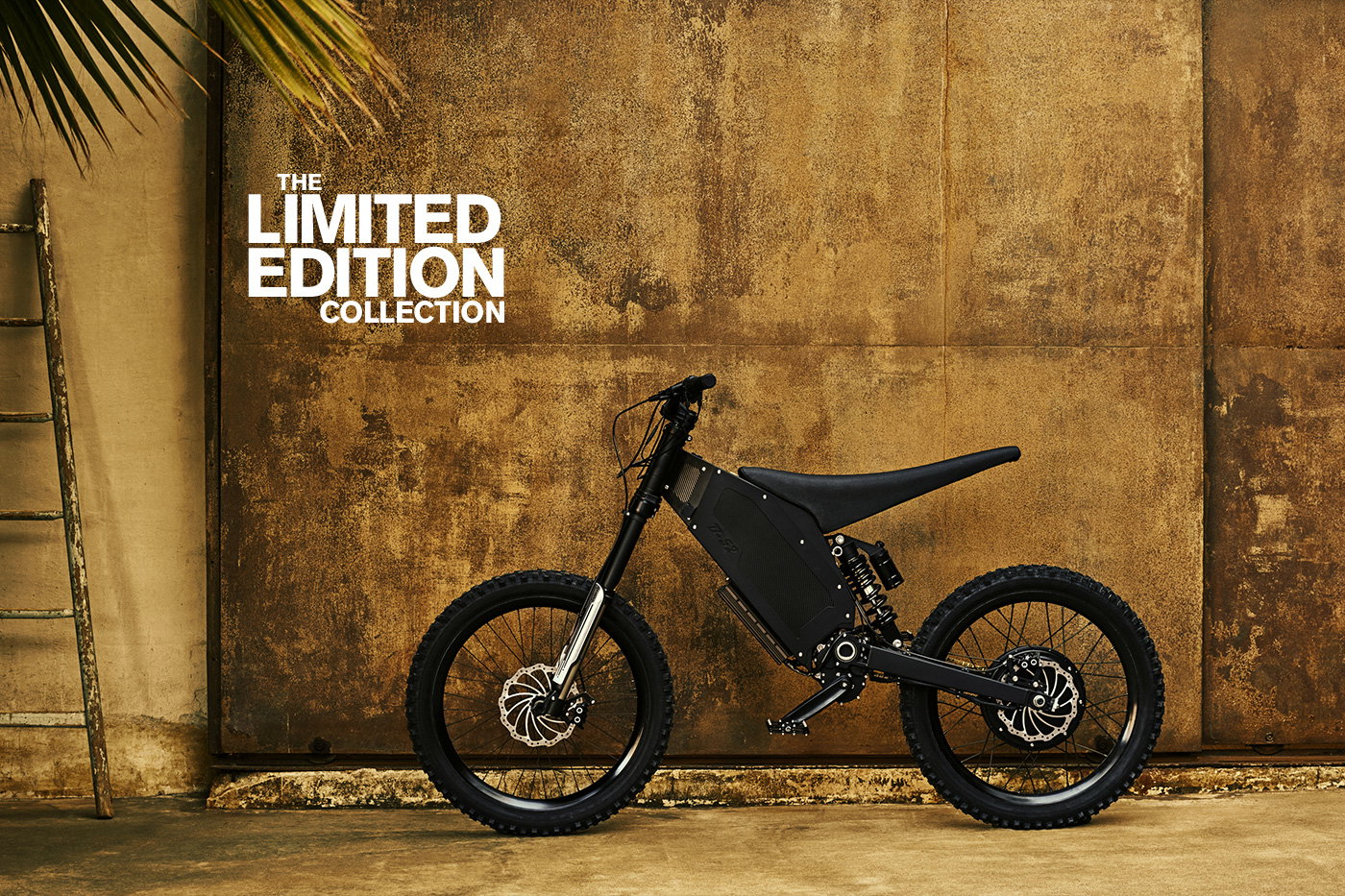 THE LIMITED EDITION COLLECTION