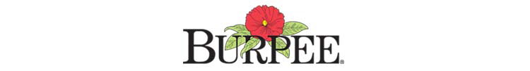 Burpee Home