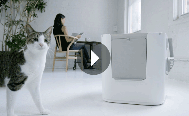 modkat xl