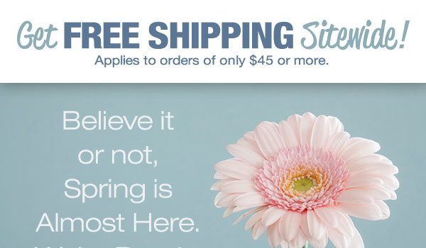 FREE Shipping on $45+