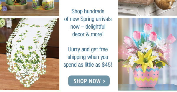 FREE Shipping on $45+