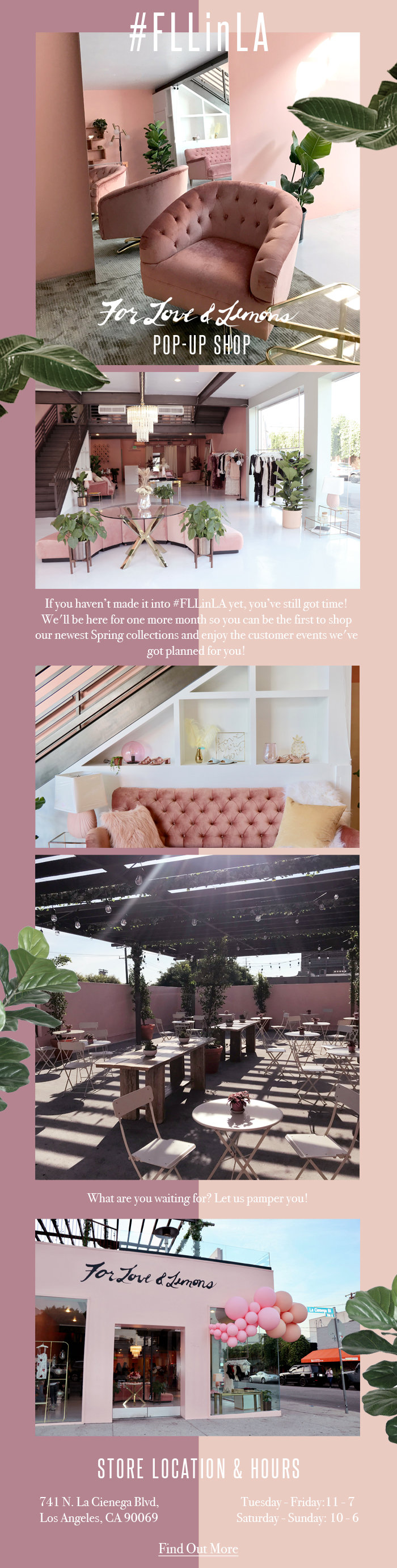 For Love Lemons Have You Been To Fllinla Yet Milled