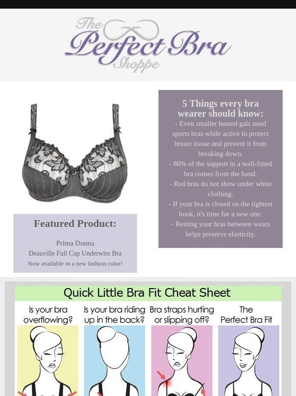 The Perfect Bra Shoppe - Bras, Lingerie and Swimwear: The celebration  continues