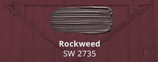 Rockweed SW 2735