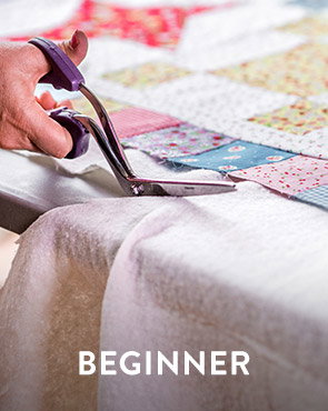 BEGINNER