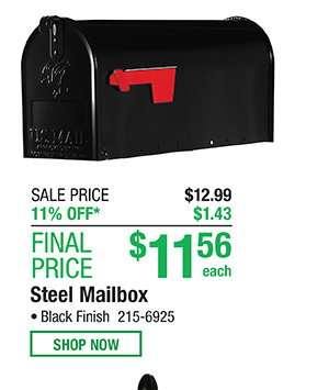 Steel Mailbox