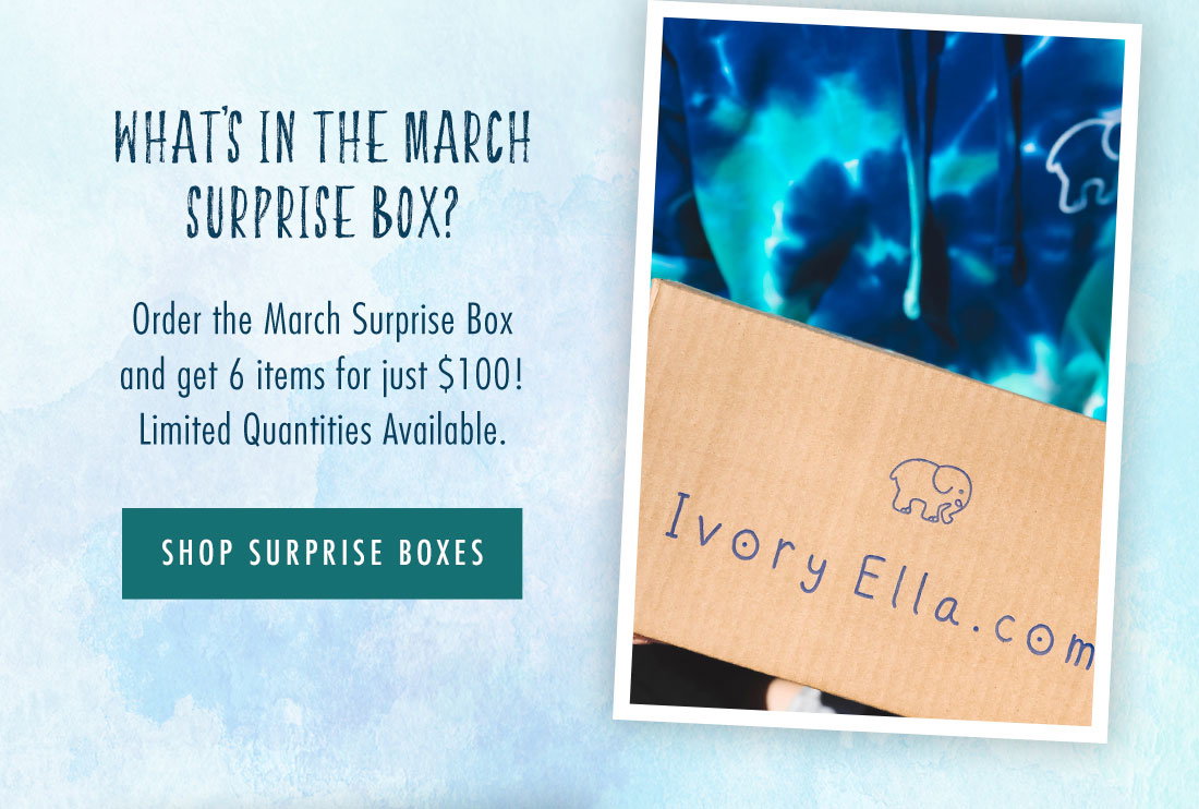 What’s In The March Surprise Box? | Order the March Surprise Box and get 6 items for just $100! Limited quantities available. | SHOP SURPRISE BOXES