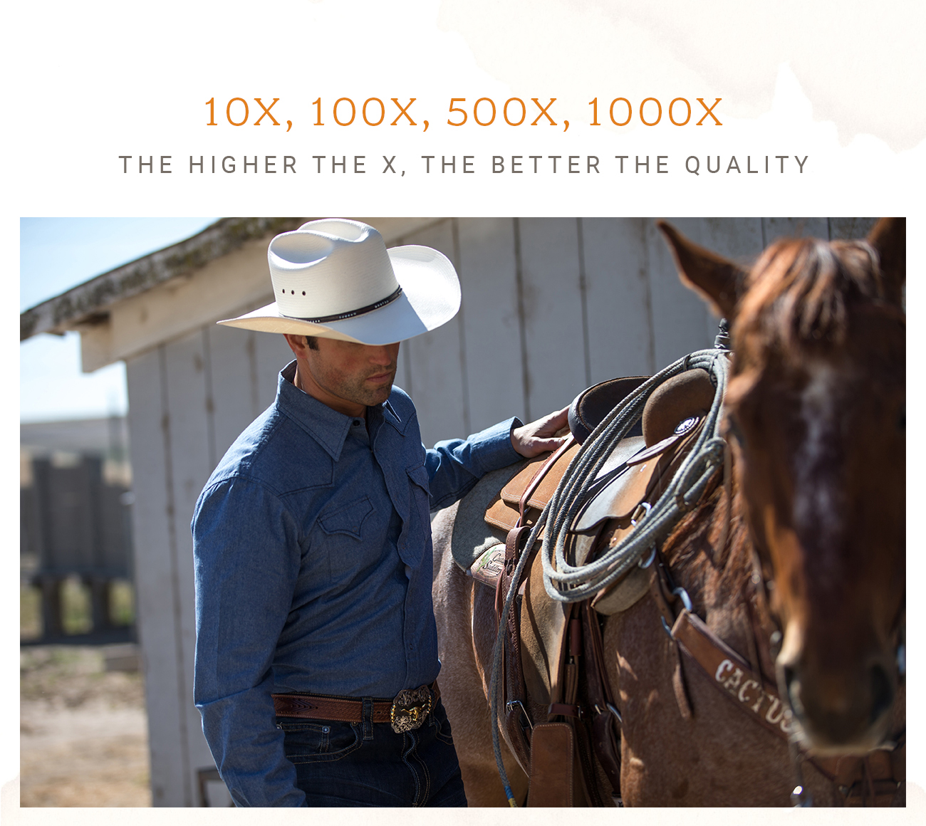 stetson 1000x evilla de oro