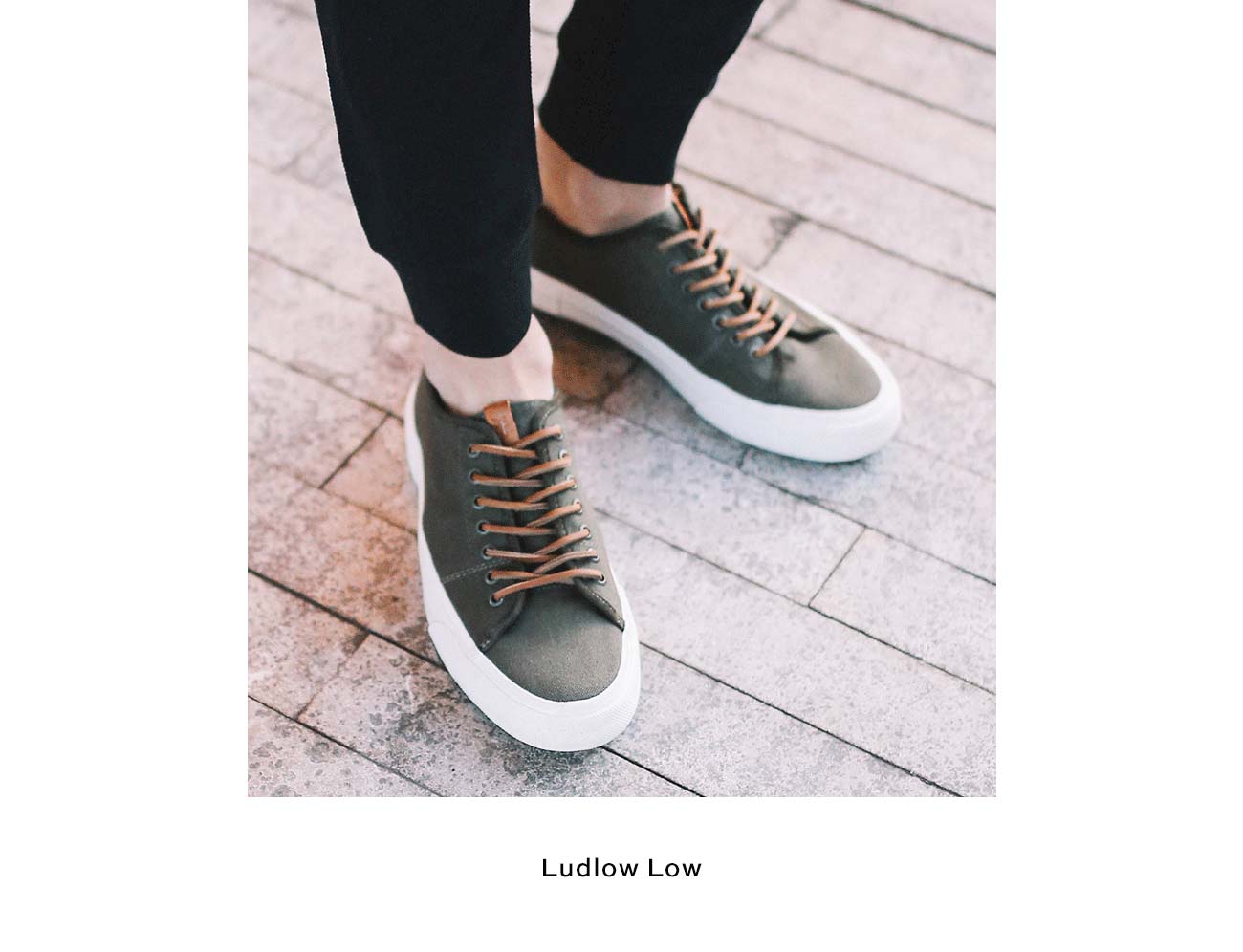 frye ludlow low sneaker