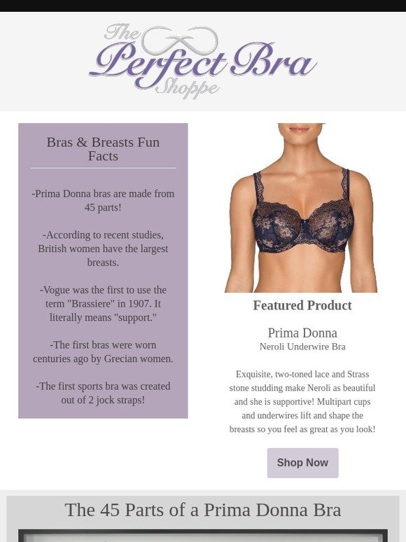 The Perfect Bra Shoppe - Bras, Lingerie and Swimwear: Bras and