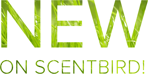 NEW ON SCENTBIRD!