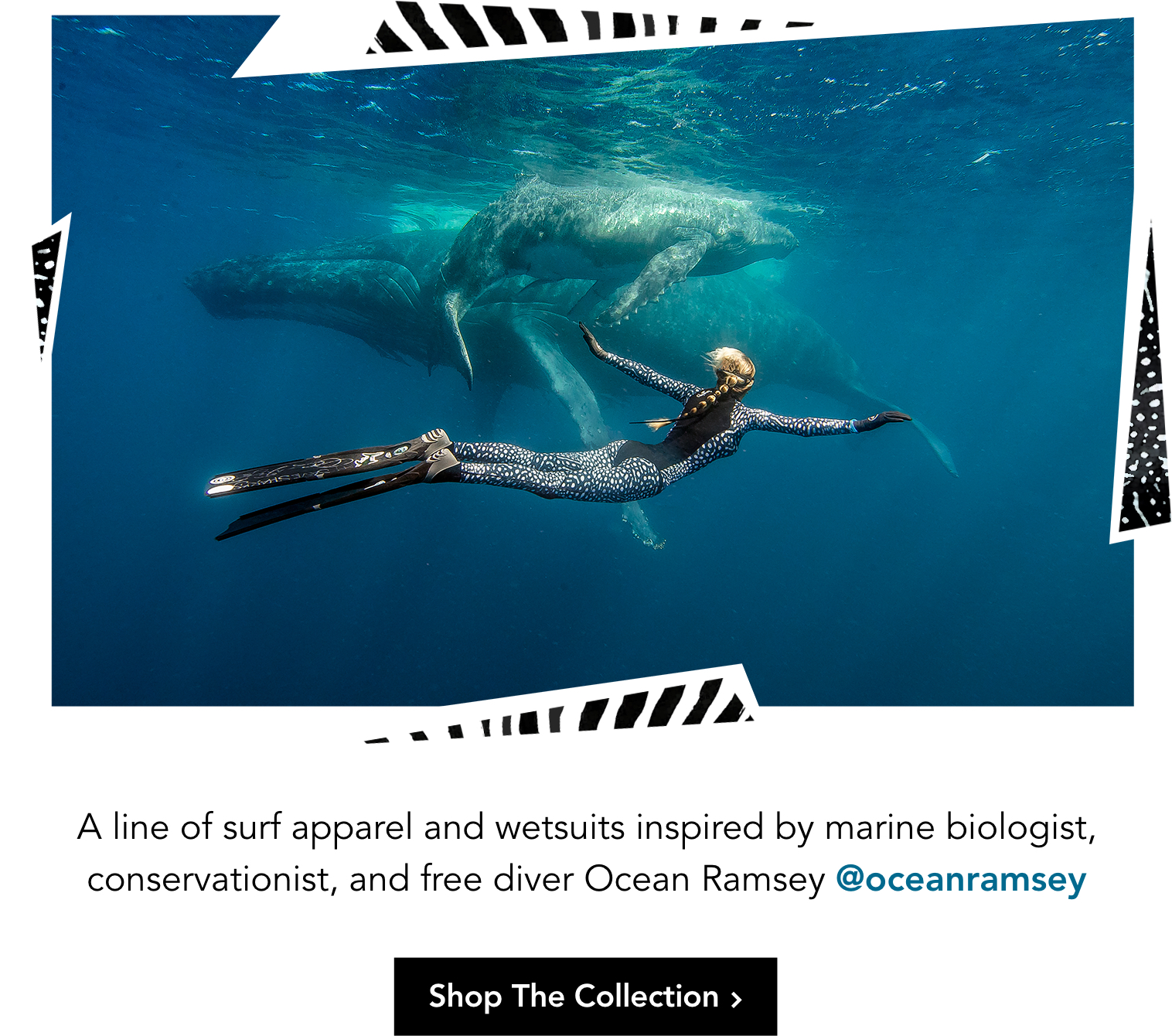 Swim Outlet: Introducing: The Ocean Ramsey Surf Clothing and Wetsuit ...