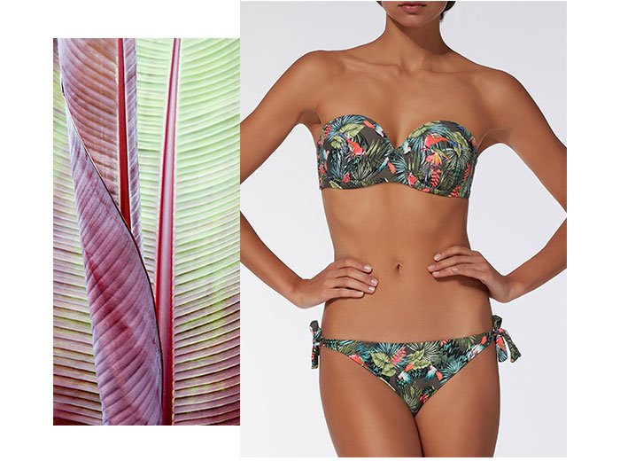 Calzedonia: Jungle vibes Milled