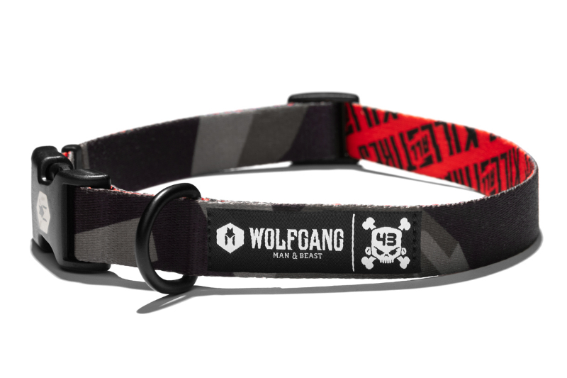 ken block dog leash