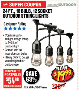 24 Ft. 12 Bulb Outdoor String Lights