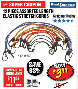 12 Pc Assorted Length Elastic Stretch Cords
