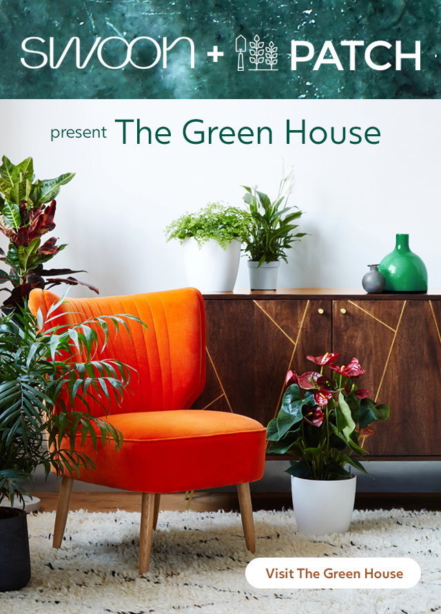 Visit our the Greenhouse >