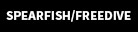 Spearfishing & Freediving