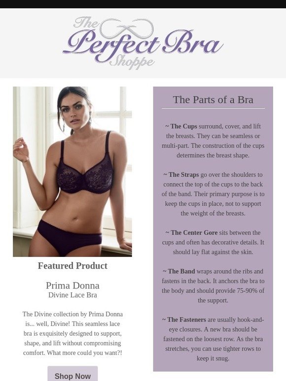 The Perfect Bra Shoppe - Bras, Lingerie and Swimwear: Bras and