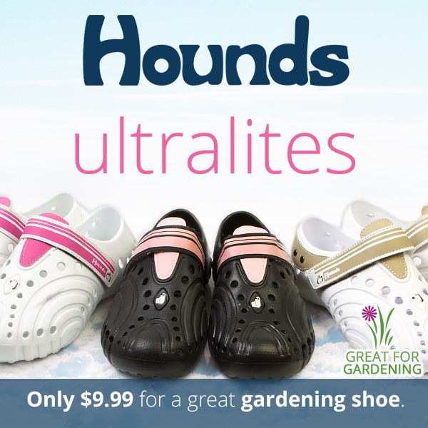 Hounds fleece sale lined clogs